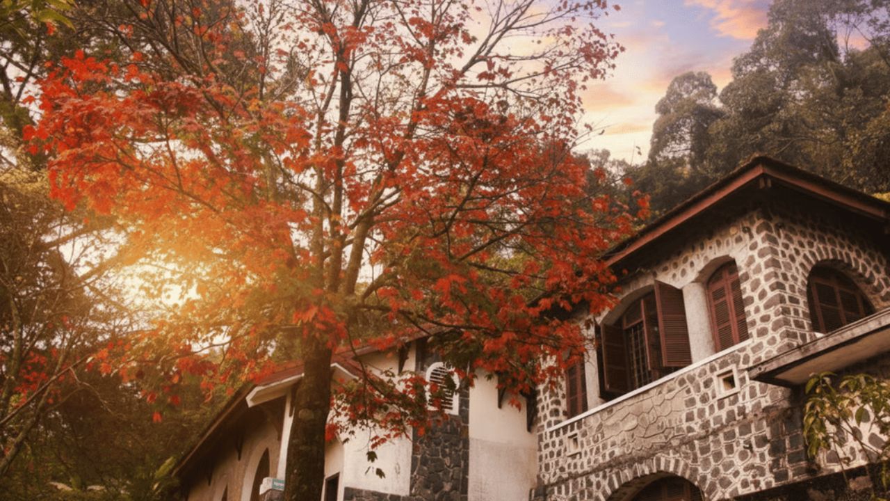 Old French Villas and Summit Station