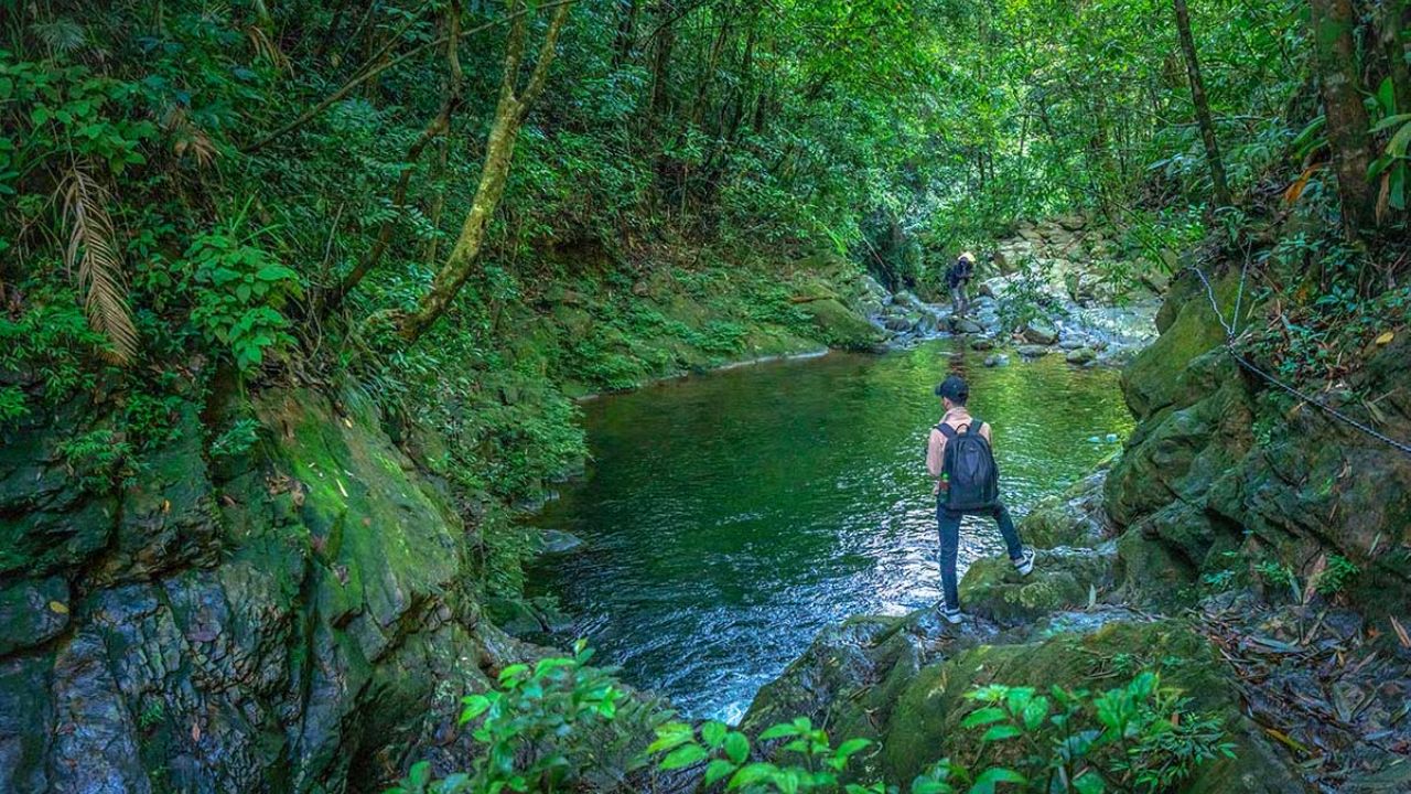 Trek Through the Jungle at Bach Ma National Park