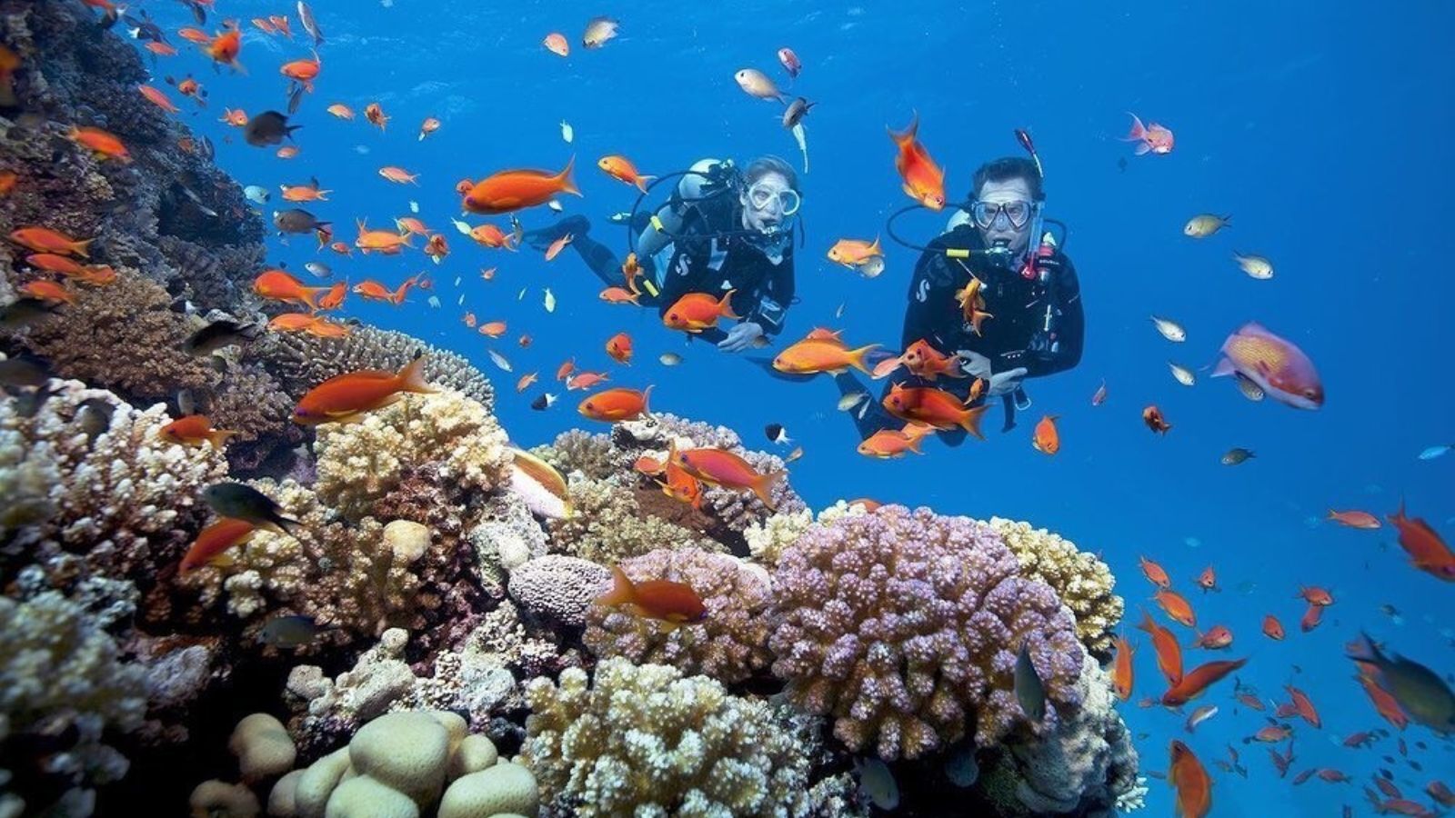 Scuba Diving at Cu Lao Cham Island